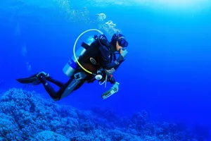 Scuba Diving Coral Reefs Wallpaper
