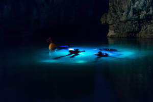 Scuba Diving Glowing Lagoon Wallpaper