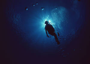 Scuba Diving In The Deep Blue Sea Wallpaper