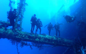 Scuba Diving Squad Exploring Sunken Ship Wallpaper