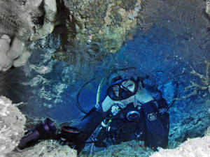 Scuba Diving Taking Photo Underwater Wallpaper