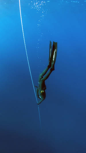 Scuba Diving Underwater Shot Wallpaper
