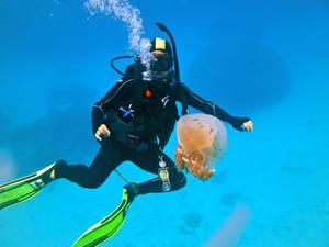 Scuba Diving With Jellyfish Wallpaper