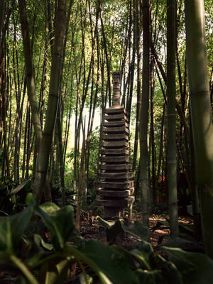 Sculpture In Bamboo Forest Wallpaper