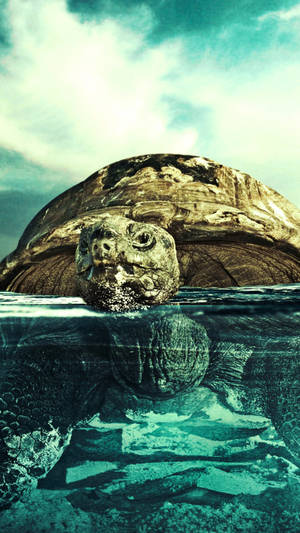 Sea Turtle Digital Art Iphone Wallpaper