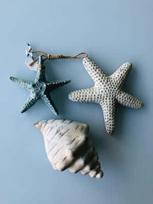 Seashell And Starfishes Light Blue Aesthetic Wallpaper