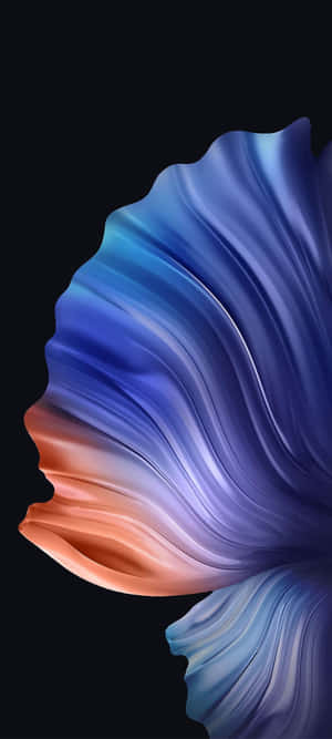 See The Beauty Of Samsung S20 Wallpaper
