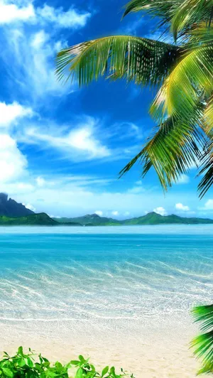 Send Summer Vibes With The Beach Iphone Wallpaper