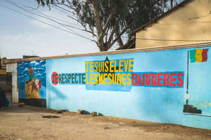 Senegal Flag Mural Wallpaper