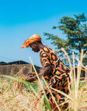 Senegal Traditional Outfit Wallpaper