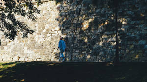 Serbia Stone Walls Wallpaper