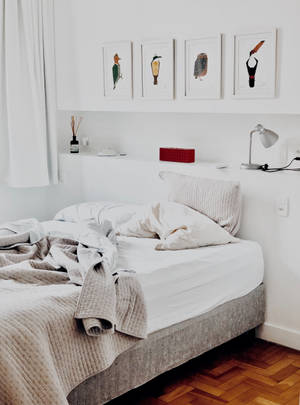 Serene, Modern Bedroom Design Wallpaper