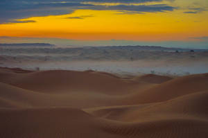 Serene Sahara Desert Wallpaper