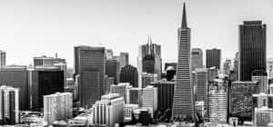 Serene San Francisco In Black And White Wallpaper