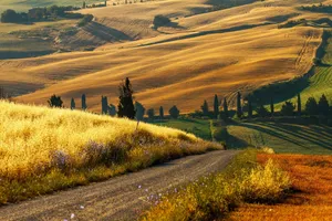 Serene Tuscan Hills Wallpaper