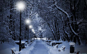 Serene Winter Night On Desktop Wallpaper