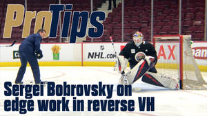 Sergei Bobrovsky Protips Poster Artwork Wallpaper