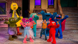 Sesame Street Musical Stage Play Wallpaper