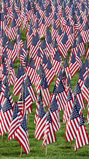 Several American Flag Cool Iphone Background Wallpaper