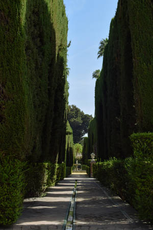 Seville Outdoor Path Wallpaper