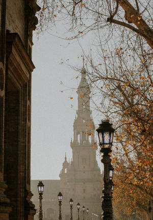 Seville Street Lamp Wallpaper