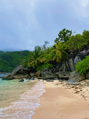 Seychelles Mahe Island Shore Wallpaper