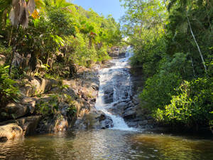 Seychelles Sauzier Waterfall Wallpaper