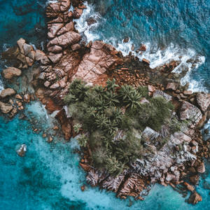 Seychelles St. Pierre Island Wallpaper
