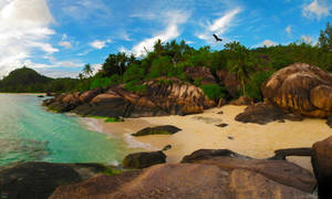 Seychelles Stony Beach Wallpaper