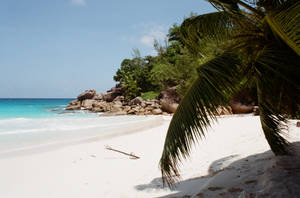 Seychelles White Sandy Beach Wallpaper