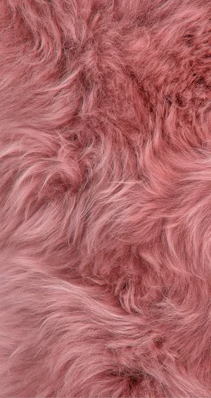 Shades Of Rose Gold Color Wallpaper