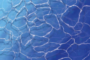 Shallow Pool Water Wallpaper