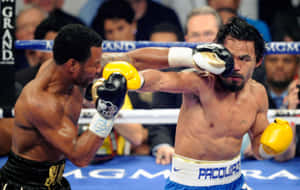 Shane Mosley And Pacquiao Punching Wallpaper