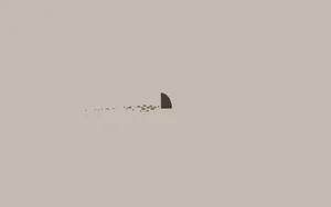 Shark Fin Simple Laptop Digital Illustration Wallpaper