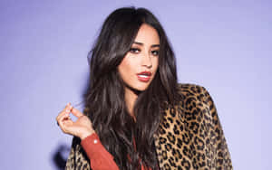 Shay Mitchell Leopard Jacket Glamour Wallpaper