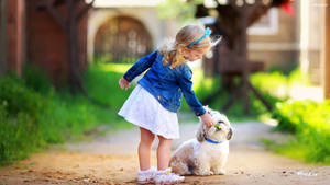 Shih Tzu Puppy Desktop And Kid Wallpaper