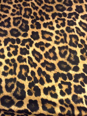 Shine Bright Like This Dazzling Leopard! Wallpaper