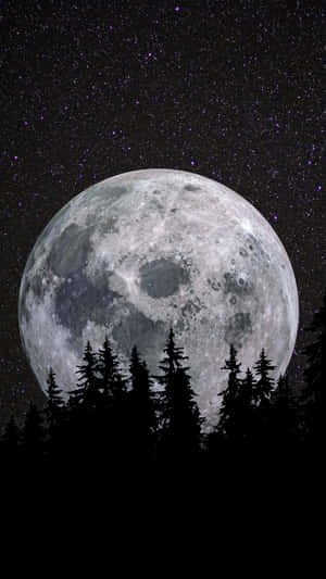 Shine Brightly At Night: A Magical Cool Moon Wallpaper