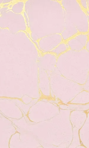 Shine With Light Pink And Gold Wallpaper