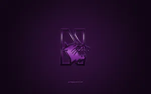 Shining Northwestern University Wildcats Logo Wallpaper