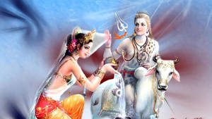 Shiv Parvati Hd Blessing Wallpaper
