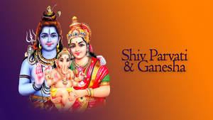 Shiv Parvati Hd Gradient Background Wallpaper
