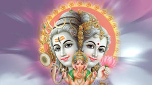Shiva And Parvati God Full Hd Wallpaper