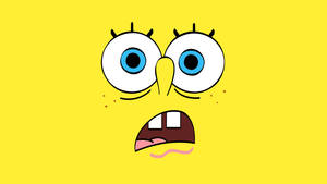 Shocked Spongebob Funny Cartoon Wallpaper