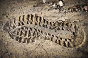 Shoe Sole Print On Ground Wallpaper