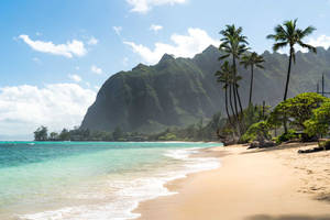 Shore Of Oahu Beach Wallpaper