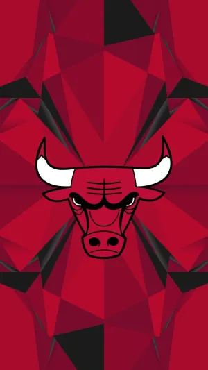 show your chicago bulls spirit with this iphone wallpaper