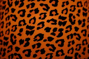 Show Your Wild Side With Animal Print Wallpaper