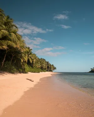 Siargao Island Secret Beach Shoreline Wallpaper