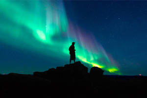 Silhouette Northern Lights Wallpaper